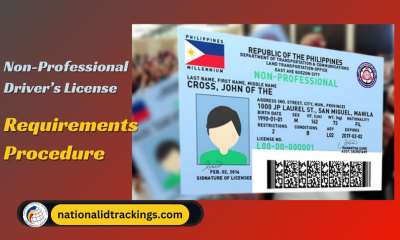 What is the Allowed Age to Apply for a Non Professional Driver's License-2024