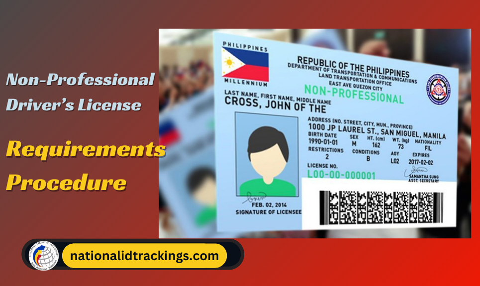 What is the Allowed Age to Apply for a Non Professional Driver's License-2024