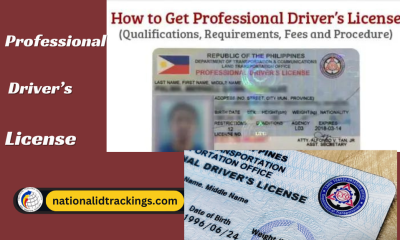 Professional Driver's License 2024