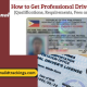 Professional Driver's License 2024