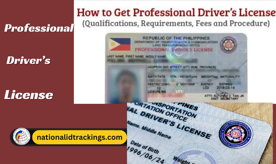 Professional Driver's License 2024